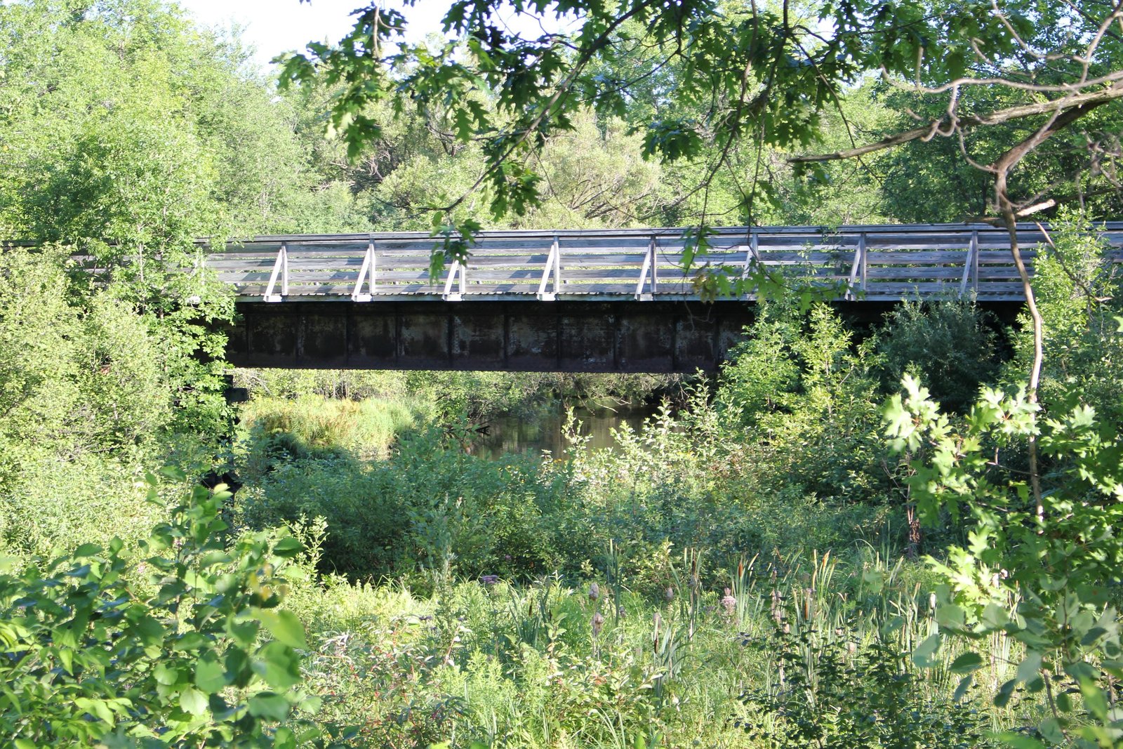 Main span